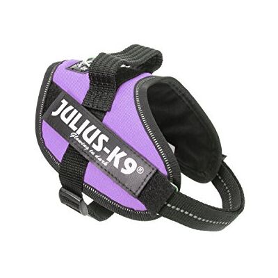 Harnais IDC Power Lilas Julius-K9 - Sécurité pour Chiens - Publicité Harnais IDC Power Lilas Julius-K9 - Sécurité pour Chiens - Publicité