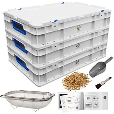 OFERA Mealworm Farm, système d'élevage de vers de Farine pour Poules - Publicité OFERA Mealworm Farm, système d'élevage de vers de Farine pour Poules - Publicité