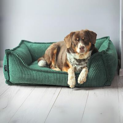 4L Textil Lit pour chien douillet en velours côtelé Hugo Premium-LINE Panier pour chien orthopédique Coussin pour chien pelucheux Lit pour chien avec housse en mousse à mémoire de forme - Publicité 4L Textil Lit pour chien douillet en velours côtelé Hugo Premium-LINE Panier pour chien orthopédique Coussin pour chien pelucheux Lit pour chien avec housse en mousse à mémoire de forme - Publicité