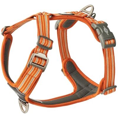 Dog Copenhagen - Comfort Walk Air - Orange Sun - M - Harness - Publicité Dog Copenhagen - Comfort Walk Air - Orange Sun - M - Harness - Publicité