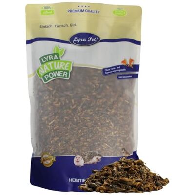 Lyra Pet ® 1 kg grillons séchés pour Oiseaux Sauvages, rongeurs & Reptiles Riche en protéines & minéraux Complément nutritif à l’aliment principal Source d’énergie idéale Aliment naturel - Publicité Lyra Pet ® 1 kg grillons séchés pour Oiseaux Sauvages, rongeurs & Reptiles Riche en protéines & minéraux Complément nutritif à l’aliment principal Source d’énergie idéale Aliment naturel - Publicité