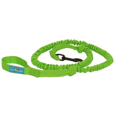 Inlandsis Bikejor - Laisse pour chien Verte 2,5 m - Laisse pour chien - Publicité Inlandsis Bikejor - Laisse pour chien Verte 2,5 m - Laisse pour chien - Publicité
