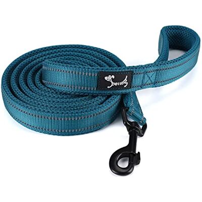 PETTOM Laisse pour Chien, Laisse Dressage Chien Grand Moyen Petit, Poignée Rembourrée, Réfléchissant(Bleu, 1.1m) - Publicité PETTOM Laisse pour Chien, Laisse Dressage Chien Grand Moyen Petit, Poignée Rembourrée, Réfléchissant(Bleu, 1.1m) - Publicité
