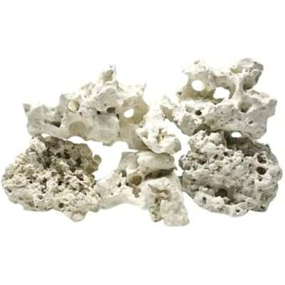 AquaOne Sansibar Rock Pierre d'aquarium en pierre naturelle pour aquarium Taille M 0,5-1,0 kg Pour l'aquascaping, le Malawi Tanganyika & les bassins sociaux - Publicité AquaOne Sansibar Rock Pierre d'aquarium en pierre naturelle pour aquarium Taille M 0,5-1,0 kg Pour l'aquascaping, le Malawi Tanganyika & les bassins sociaux - Publicité