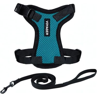 Best Pet Supplies Voyager Step-in Lock – Harnais en Maille résistante aux intempéries pour Animaux de Compagnie, Harnais réglable pour Chats et Chiens, Bordure Turquoise/Noire, Taille XXXS - Publicité Best Pet Supplies Voyager Step-in Lock – Harnais en Maille résistante aux intempéries pour Animaux de Compagnie, Harnais réglable pour Chats et Chiens, Bordure Turquoise/Noire, Taille XXXS - Publicité