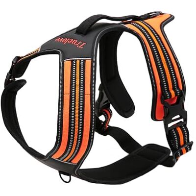 Truelove Security Guardy - orange - XL - 90-125 cm harnais pour chien - Publicité Truelove Security Guardy - orange - XL - 90-125 cm harnais pour chien - Publicité