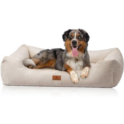 Knuffelwuff Panier pour Chien en Velours côtelé Aspect tissé Main Olivia XXL 120 x 85cm Crème Housse Amovible Lavable pour Grands, Moyens et Petits Chiens - Publicité Knuffelwuff Panier pour Chien en Velours côtelé Aspect tissé Main Olivia XXL 120 x 85cm Crème Housse Amovible Lavable pour Grands, Moyens et Petits Chiens - Publicité