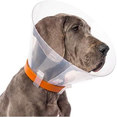 CROCI - Elisabetta - 40 cm - Collar - Publicité CROCI - Elisabetta - 40 cm - Collar - Publicité