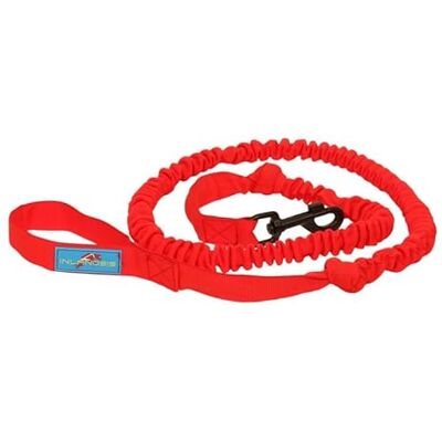 Inlandsis Bikejor - Laisse pour chien Rouge 2,5 m - Laisse - Publicité Inlandsis Bikejor - Laisse pour chien Rouge 2,5 m - Laisse - Publicité