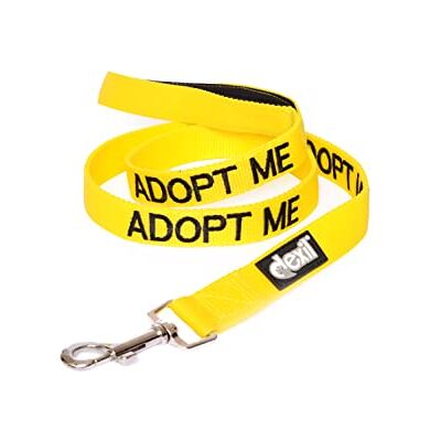 Dexil Adopt ME Jaune Couleur Coded Nylon 1,2 mètres rembourré Poignée Chien en Laisse (New Domicile nécessaires) Faire Un Don à Votre Organisme Local - Publicité Dexil Adopt ME Jaune Couleur Coded Nylon 1,2 mètres rembourré Poignée Chien en Laisse (New Domicile nécessaires) Faire Un Don à Votre Organisme Local - Publicité