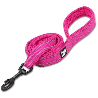 Truelove - Active - Rose - 110 cm - Laisse chien - Publicité Truelove - Active - Rose - 110 cm - Laisse chien - Publicité