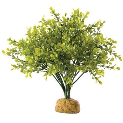 Exo Terra - Plantes pour Terrarium de Reptiles - 15x28x15 cm - Publicité Exo Terra - Plantes pour Terrarium de Reptiles - 15x28x15 cm - Publicité