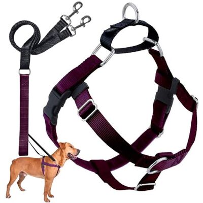 2 Hounds Design 2 Hounds Motif Liberté Harnais sans-Tirer Harnais avec Laisse, Medium, Large de 2,5 cm, Bordeaux - Publicité 2 Hounds Design 2 Hounds Motif Liberté Harnais sans-Tirer Harnais avec Laisse, Medium, Large de 2,5 cm, Bordeaux - Publicité