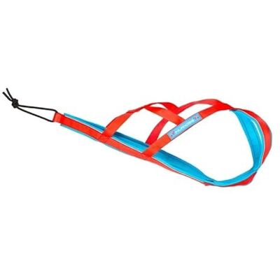 Inlandsis Polar Quest - Harnais pour Chien Rouge / Bleu XXL - Harnais pour Chien - Publicité Inlandsis Polar Quest - Harnais pour Chien Rouge / Bleu XXL - Harnais pour Chien - Publicité