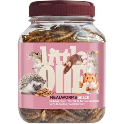 Little One vers de Farine 70 g Complément Alimentaire pour Hamsters, Rats, Souris et hérissons pour Soutenir Le Bien-être Teneur élevée en protéines pour Les Instincts naturels - Publicité Little One vers de Farine 70 g Complément Alimentaire pour Hamsters, Rats, Souris et hérissons pour Soutenir Le Bien-être Teneur élevée en protéines pour Les Instincts naturels - Publicité