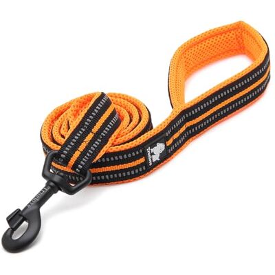 Truelove - Active - 110 cm - 2.5 cm - Laisse pour chien - Publicité Truelove - Active - 110 cm - 2.5 cm - Laisse pour chien - Publicité