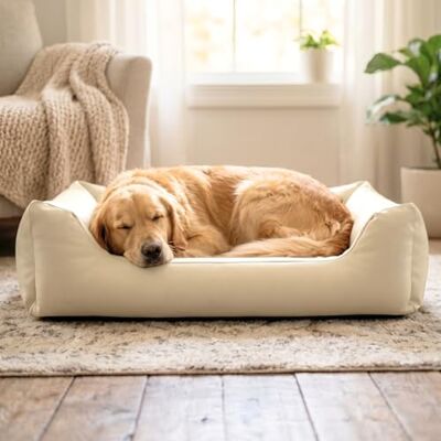 4L Textil Mario Lit Orthopédique pour Chien Mémoire de Forme – Panier Chien Simili Cuir Imperméable, Résistant aux Rayures, Facile à Nettoyer – Beige – 100x70 cm - Publicité 4L Textil Mario Lit Orthopédique pour Chien Mémoire de Forme – Panier Chien Simili Cuir Imperméable, Résistant aux Rayures, Facile à Nettoyer – Beige – 100x70 cm - Publicité