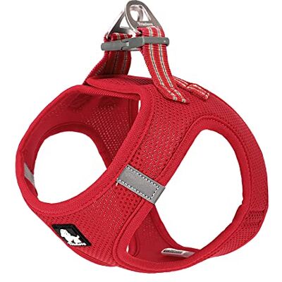TRUE LOVE Harnais pour Chien Soft Air Mesh Gilet réfléchissant réglable pour Animaux de Compagnie pour Petites et Moyennes Races (XXS, Rouge) - Publicité TRUE LOVE Harnais pour Chien Soft Air Mesh Gilet réfléchissant réglable pour Animaux de Compagnie pour Petites et Moyennes Races (XXS, Rouge) - Publicité