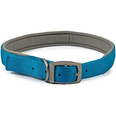Ancol Viva Collier rembourré pour Chien avec Boucle Bleu Accessoire de Promenade Durable pour Chien Chiot Taille 6 Convient pour Tour de Cou 45-54 cm - Publicité Ancol Viva Collier rembourré pour Chien avec Boucle Bleu Accessoire de Promenade Durable pour Chien Chiot Taille 6 Convient pour Tour de Cou 45-54 cm - Publicité