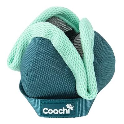 Harnais pour Chien Coachi - Animal: Chien, Type: Harnais, Matériau: Polyester - Publicité Harnais pour Chien Coachi - Animal: Chien, Type: Harnais, Matériau: Polyester - Publicité