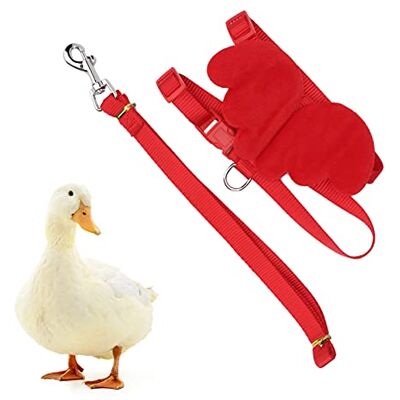 Pssopp Harnais de Canard et Harnais de Marche de Poulet Réglable en Plomb Gilet Respirant pour Animaux de Compagnie pour la Marche de Formation de Poule de Poulet de Canard(M Rouge) - Publicité Pssopp Harnais de Canard et Harnais de Marche de Poulet Réglable en Plomb Gilet Respirant pour Animaux de Compagnie pour la Marche de Formation de Poule de Poulet de Canard(M Rouge) - Publicité
