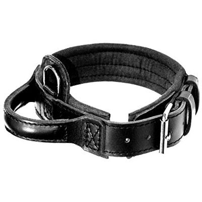 DINGO GEAR Collier en Cuir Dingo - Taille L - Publicité DINGO GEAR Collier en Cuir Dingo - Taille L - Publicité