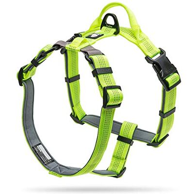 Truelove - Lumen Lite L - Jaune - Dog harness - Publicité Truelove - Lumen Lite L - Jaune - Dog harness - Publicité