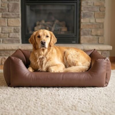 4L Textil Mario Lit Orthopédique pour Chien Mémoire de Forme – Panier Chien Simili Cuir Imperméable, Résistant aux Rayures, Facile à Nettoyer – Marron – 100x70 cm - Publicité 4L Textil Mario Lit Orthopédique pour Chien Mémoire de Forme – Panier Chien Simili Cuir Imperméable, Résistant aux Rayures, Facile à Nettoyer – Marron – 100x70 cm - Publicité