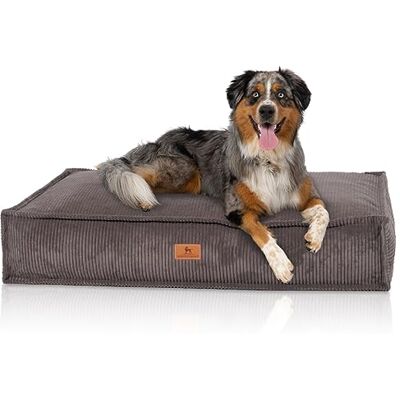Knuffelwuff Coussin pour Chien Lesedi en Velours côtelé Aspect tissé Main 135x90cm Gris-Marron Housse Amovible Lavable pour Grands, Moyens et Petits Chiens - Publicité Knuffelwuff Coussin pour Chien Lesedi en Velours côtelé Aspect tissé Main 135x90cm Gris-Marron Housse Amovible Lavable pour Grands, Moyens et Petits Chiens - Publicité