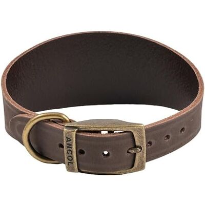 Collier en cuir de chien Timberwolf Sable d'Ancol - Collier pour chien - Publicité Collier en cuir de chien Timberwolf Sable d'Ancol - Collier pour chien - Publicité