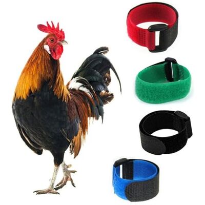 Lodoot 2 x Collier anti-corneille, collier pour poulet, silencieux, anti-crochet, collier pour poules contre les corneilles, collier anti-corneilles sans crochet - Publicité Lodoot 2 x Collier anti-corneille, collier pour poulet, silencieux, anti-crochet, collier pour poules contre les corneilles, collier anti-corneilles sans crochet - Publicité