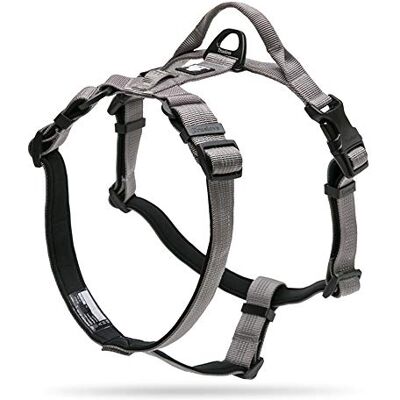 Truelove - Lumen Lite L - Guard - Gris - Harnais pour chien - Publicité Truelove - Lumen Lite L - Guard - Gris - Harnais pour chien - Publicité