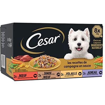 Cesar Mini Filets pour Chien - 8x150g - Publicité Cesar Mini Filets pour Chien - 8x150g - Publicité