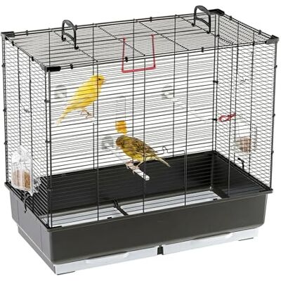 Cage à Oiseaux FERPLAST - 71x38x63cm - Spacieuse, Facile à Nettoyer, Accessoires Inclus - Publicité Cage à Oiseaux FERPLAST - 71x38x63cm - Spacieuse, Facile à Nettoyer, Accessoires Inclus - Publicité