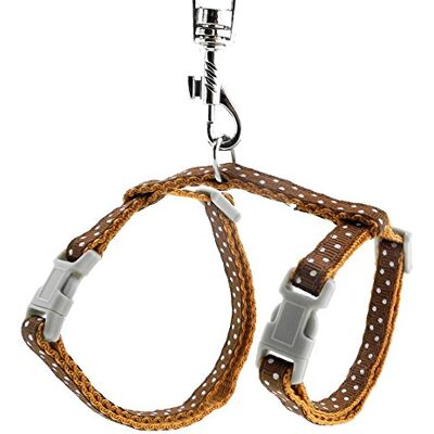 smalllee_lucky_store Harnais pour Animaux de Compagnie avec Laisse réglable pour Lapins Chats Chatons Collier réglable Laisse de Marche pour Petit Chien - Publicité smalllee_lucky_store Harnais pour Animaux de Compagnie avec Laisse réglable pour Lapins Chats Chatons Collier réglable Laisse de Marche pour Petit Chien - Publicité