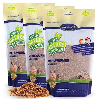 Lyra Pet ® 3 x 5 kg vers de Farine séchés, Aliment de qualité Premium Aliment riche en protéines – source d’énergie pour insectivores – vitamines & minéraux – oiseaux sauvages, rongeurs &reptiles - Publicité Lyra Pet ® 3 x 5 kg vers de Farine séchés, Aliment de qualité Premium Aliment riche en protéines – source d’énergie pour insectivores – vitamines & minéraux – oiseaux sauvages, rongeurs &reptiles - Publicité