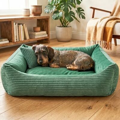 4L Textil Molly Housse Douillette pour Chien Amovible et Lavable Panier pour Chien de Taille Moyenne Moelleux 60 x 40 cm Vert - Publicité 4L Textil Molly Housse Douillette pour Chien Amovible et Lavable Panier pour Chien de Taille Moyenne Moelleux 60 x 40 cm Vert - Publicité