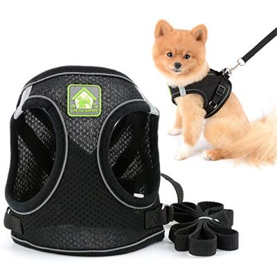 smalllee_lucky_store Harnais et laisse confortables en maille douce pour chiens et chats de petite et moyenne taille, réfléchissants, pour promener en toute sécurité, noir, taille XL - Publicité smalllee_lucky_store Harnais et laisse confortables en maille douce pour chiens et chats de petite et moyenne taille, réfléchissants, pour promener en toute sécurité, noir, taille XL - Publicité