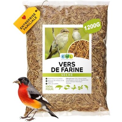 EWL Naturprodukte vers de Farine séchés 1,2 kg (7,8 L), Friandises à Base d'Insectes pour Oiseaux, Poissons, Tortues, Rongeurs, Hérissons et Reptiles, Toute l'année - Publicité EWL Naturprodukte vers de Farine séchés 1,2 kg (7,8 L), Friandises à Base d'Insectes pour Oiseaux, Poissons, Tortues, Rongeurs, Hérissons et Reptiles, Toute l'année - Publicité