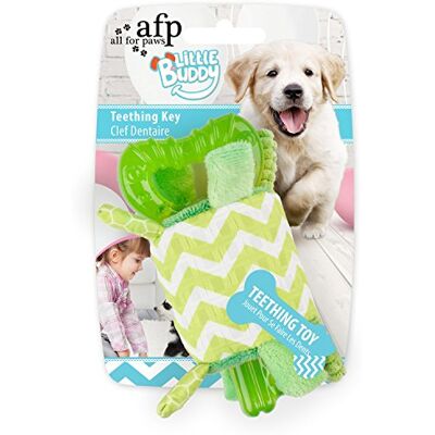 ALL FOR PAWS AFP4214 Jouet pour Chiots Little Buddy Clé Vert - Publicité ALL FOR PAWS AFP4214 Jouet pour Chiots Little Buddy Clé Vert - Publicité