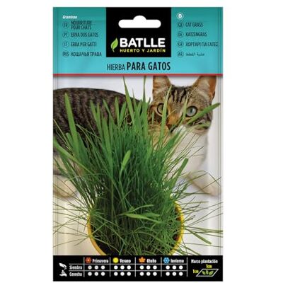 Semillas Batlle Graines aromatiques de Batlle Herbe à chat (15g), vert - Publicité Semillas Batlle Graines aromatiques de Batlle Herbe à chat (15g), vert - Publicité