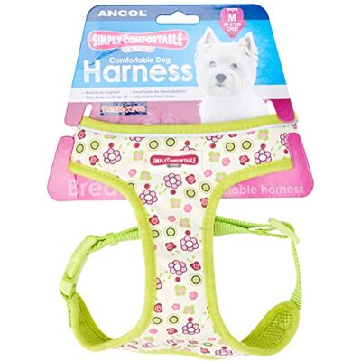 Harnais pour chiens Lime Flowers Moyen - 44-57cm - Publicité Harnais pour chiens Lime Flowers Moyen - 44-57cm - Publicité