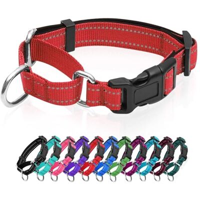 GDLKPS Collier martingale réfléchissant pour chien avec boucle à dégagement rapide Collier réglable rembourré en nylon respirant Convient aux chiots pour chiens de petite, moyenne et grande taille - Publicité GDLKPS Collier martingale réfléchissant pour chien avec boucle à dégagement rapide Collier réglable rembourré en nylon respirant Convient aux chiots pour chiens de petite, moyenne et grande taille - Publicité