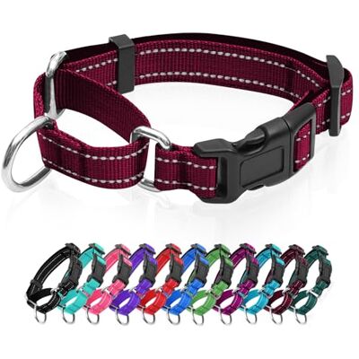 GDLKPS Collier martingale réfléchissant pour chien avec boucle à dégagement rapide Collier réglable rembourré en nylon respirant Convient aux chiots pour chiens de petite, moyenne et grande taille - Publicité GDLKPS Collier martingale réfléchissant pour chien avec boucle à dégagement rapide Collier réglable rembourré en nylon respirant Convient aux chiots pour chiens de petite, moyenne et grande taille - Publicité