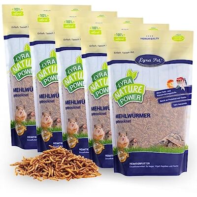 Lyra Pet ® 5 x 1 kg vers de Farine séchés, Aliment de qualité Premium Aliment riche en protéines – source d’énergie pour insectivores – vitamines & minéraux – oiseaux sauvages, rongeurs &reptiles - Publicité Lyra Pet ® 5 x 1 kg vers de Farine séchés, Aliment de qualité Premium Aliment riche en protéines – source d’énergie pour insectivores – vitamines & minéraux – oiseaux sauvages, rongeurs &reptiles - Publicité