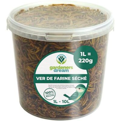GardenersDream vers de Farine séchés Friandises nutritives pour Oiseaux Sauvages (1L) - Publicité GardenersDream vers de Farine séchés Friandises nutritives pour Oiseaux Sauvages (1L) - Publicité