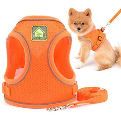 smalllee_lucky_store Harnais et laisse confortables en maille souple pour chiens et chats de petite et moyenne taille, réfléchissants, pour promener en toute sécurité, orange, taille XS - Publicité smalllee_lucky_store Harnais et laisse confortables en maille souple pour chiens et chats de petite et moyenne taille, réfléchissants, pour promener en toute sécurité, orange, taille XS - Publicité