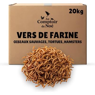 AU COMPTOIR DE NOE vers de Farine Séchés 20kg Au Comptoir de Noé, 100% Naturel, Riches en Protéines et Bonne Graisse, Alimentation pour Poissons, Oiseaux Sauvages, Tortues, Hérissons, Rongeurs et Reptiles - Publicité AU COMPTOIR DE NOE vers de Farine Séchés 20kg Au Comptoir de Noé, 100% Naturel, Riches en Protéines et Bonne Graisse, Alimentation pour Poissons, Oiseaux Sauvages, Tortues, Hérissons, Rongeurs et Reptiles - Publicité