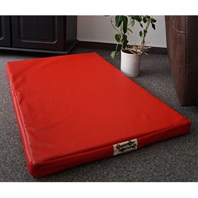 Hundebettenmanufaktur Matelas pour chien / tapis de panier pour chien Housse en similicuir et mousse de 5 cm Disponible en différentes couleurs et tailles - Publicité Hundebettenmanufaktur Matelas pour chien / tapis de panier pour chien Housse en similicuir et mousse de 5 cm Disponible en différentes couleurs et tailles - Publicité