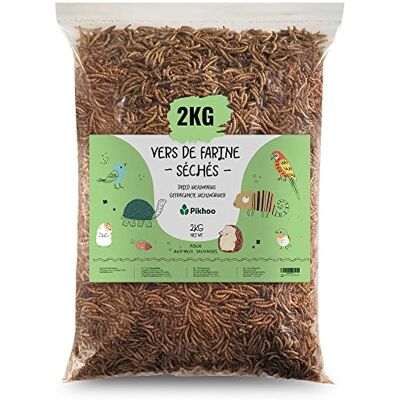 Pikhoo vers de Farine Séchés 2kg Insectes Comestibles vers de Farine pour Oiseaux du Ciel Insectes séchés Nourriture Oiseaux Exterieur - Publicité Pikhoo vers de Farine Séchés 2kg Insectes Comestibles vers de Farine pour Oiseaux du Ciel Insectes séchés Nourriture Oiseaux Exterieur - Publicité